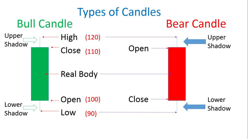 Bear Candle